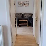 Steger 4*